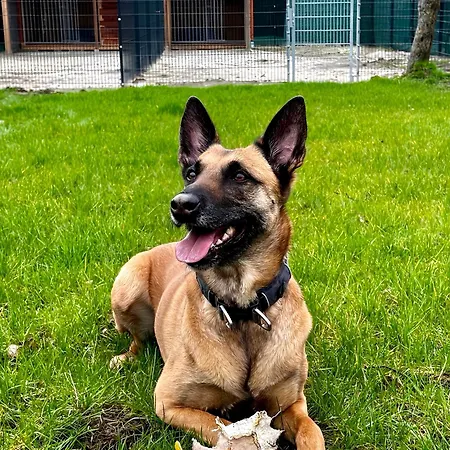 Am Glück Ferienhaus Bad Zwischenahn