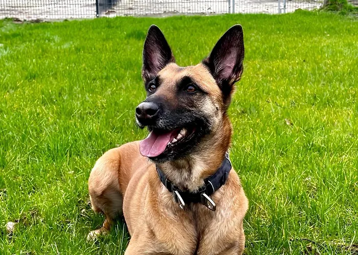 Am Glueck Дом отдыха Бад-Цвишенан